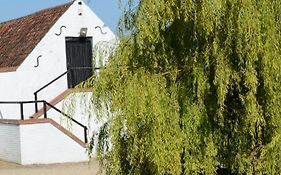 Willow Tree Farm